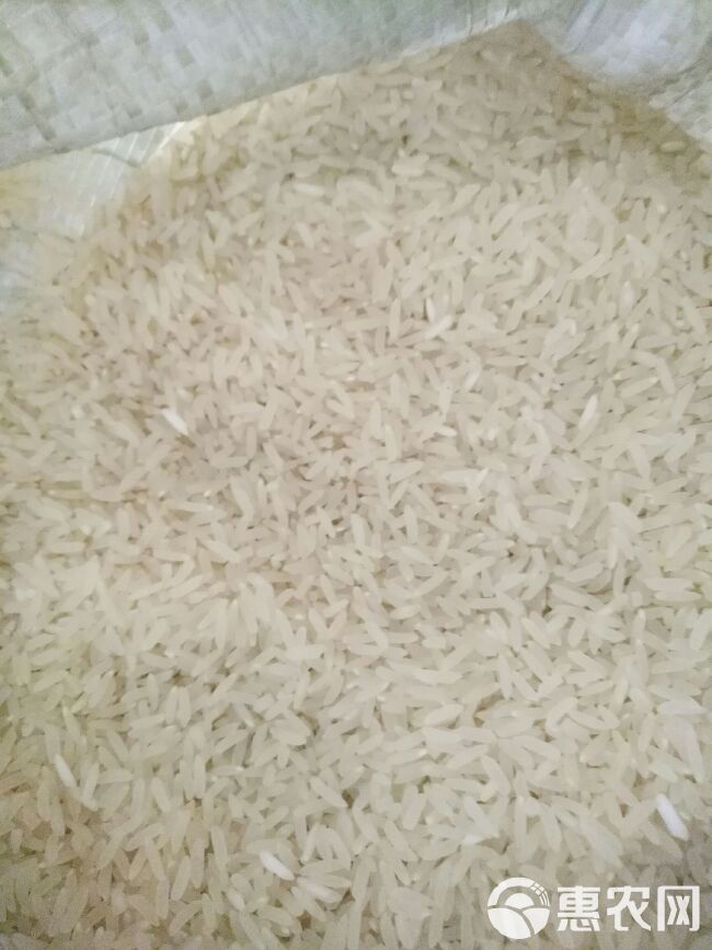  工厂直批晚百香米，原米，公认广西香度最高的米，煮饭又软又香