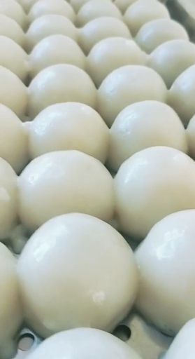 北票市粘豆包 伊品稥豆包粘，糯，筋，食品药监检验合格产品，食品安全绿色健康