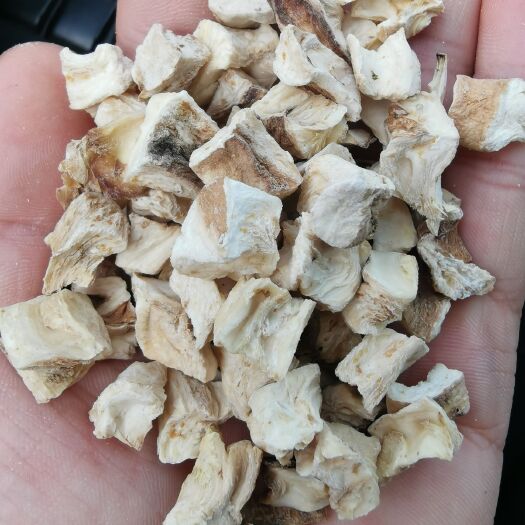 亳州菊苣根 菊苣颗粒新货