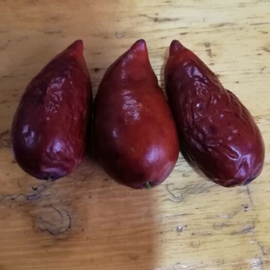 平邑县马牙枣苗 辣椒枣，自家培育，品种纯正，