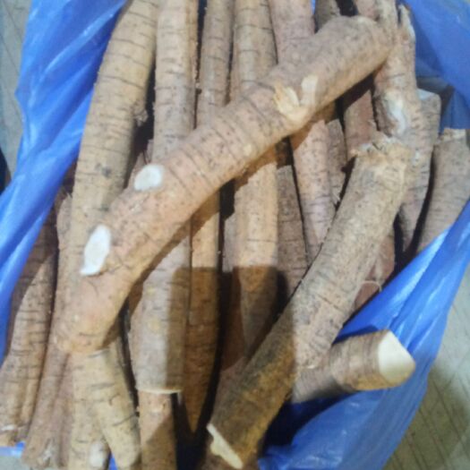 新鲜牛大力根
