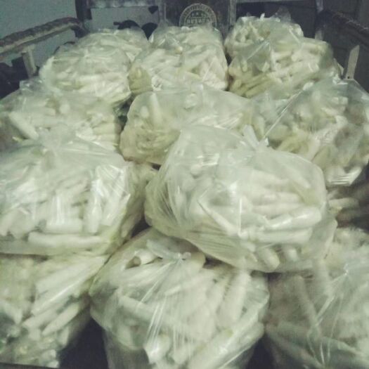 淮南 单 双季茭白种苗