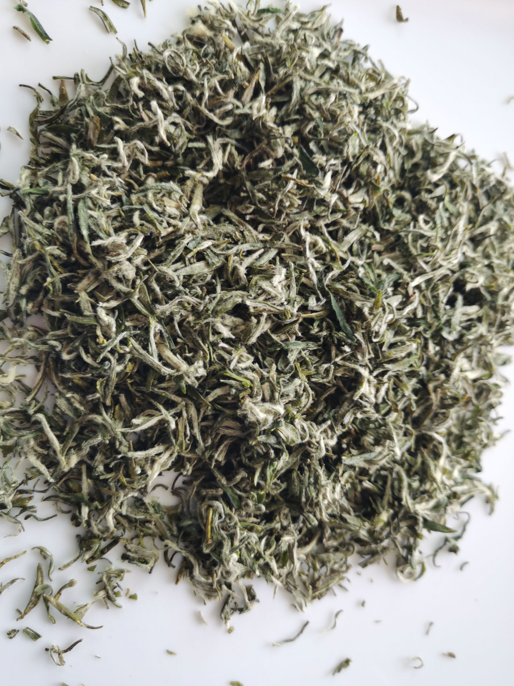 云雾毛尖 2019明前福鼎小种高山云雾茶，火功杀青，茶多酚含量高，