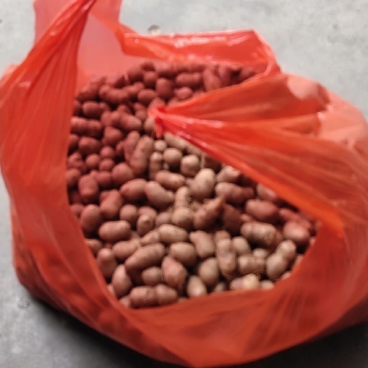 山药豆河南焦作温县垆土铁棍山药豆精品手挑豆可做种