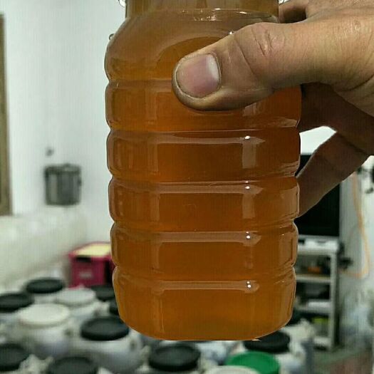 唐河县 纯正蜂蜜，保质保量，欢迎采购