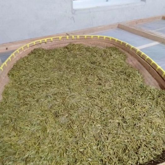 溧阳市 天目湖黄茶，白茶，红茶！欢迎咨询
