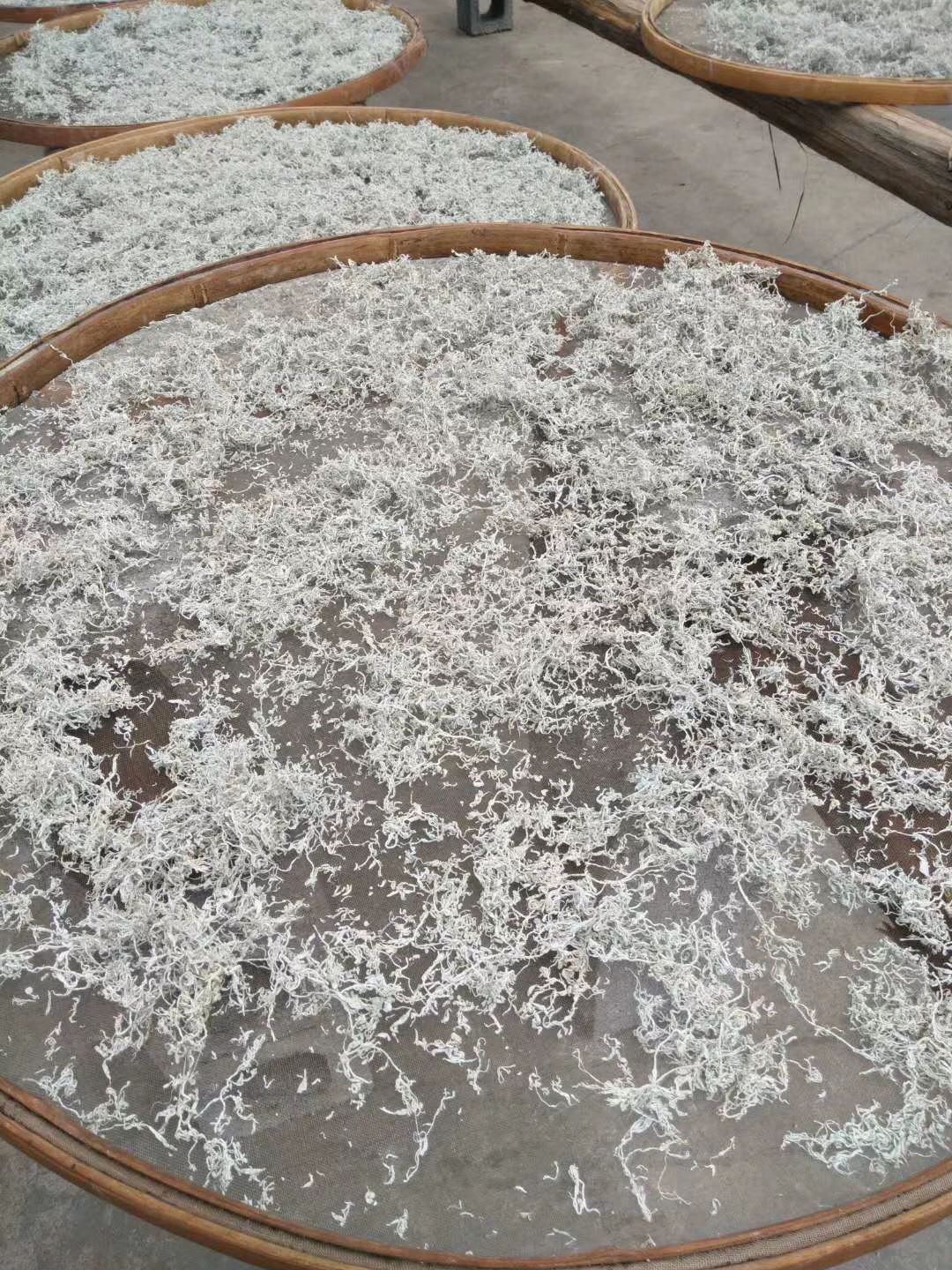 藤茶莓茶永顺莓茶