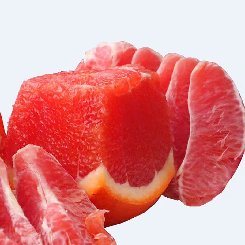 脐橙树苗  橙子树苗！当年结果，盆栽地栽！适合南北方种植！
