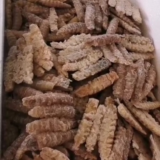 乳山市虾爬子 皮皮虾肉，各种规格都有，也可以按照老板的要求订做呢！