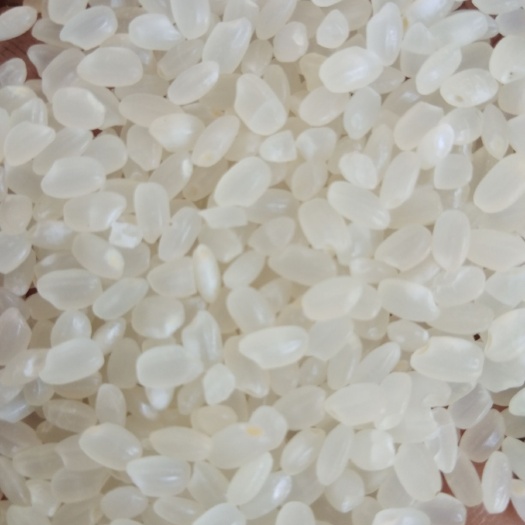 前郭县珍珠米  小粒香大米  江水的灌溉你吃过吗？