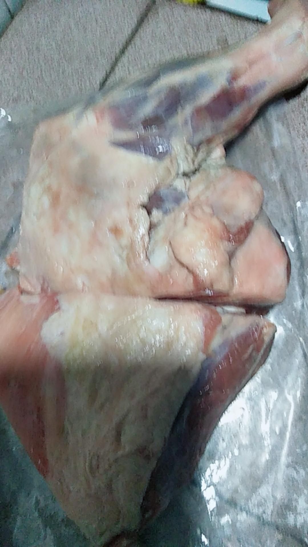 羊肉类  冷冻羊肉羊排羊蝎子带骨羊前腿肉调理农家散养包邮