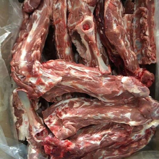 阳信县 羔羊多肉羊蝎子，质量好保证，价格合理