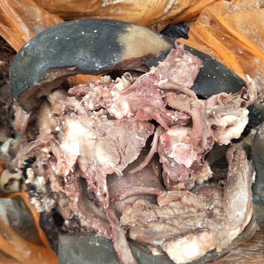 遵化市 纯牦牛头肉