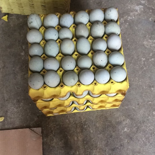 凤冈县我公司生产的皮蛋和盐蛋是严格执行有机产品的规范去生产加工们