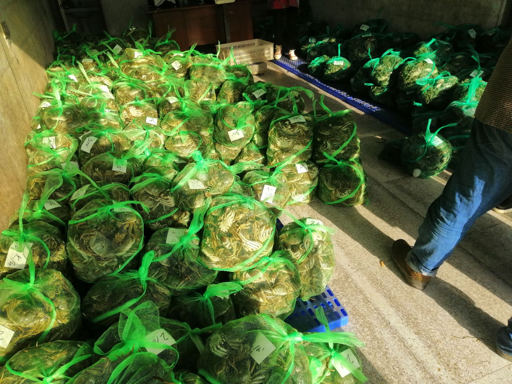 洪湖大闸蟹  山穷水尽疑无蟹，味美鲜肥在洪湖 洪湖清水大闸蟹