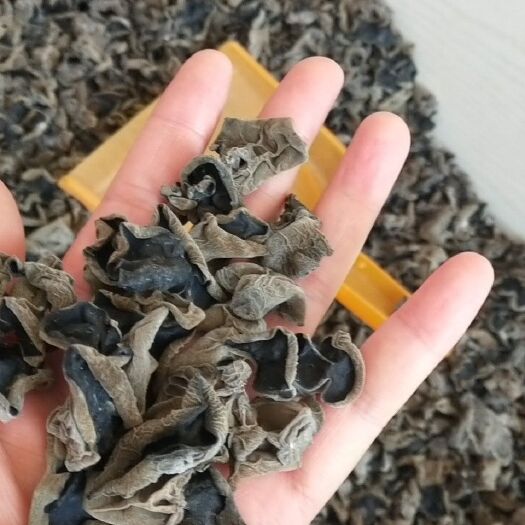 中阳县 山西黑木耳
