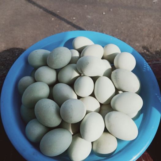 沂南县 鸭蛋
