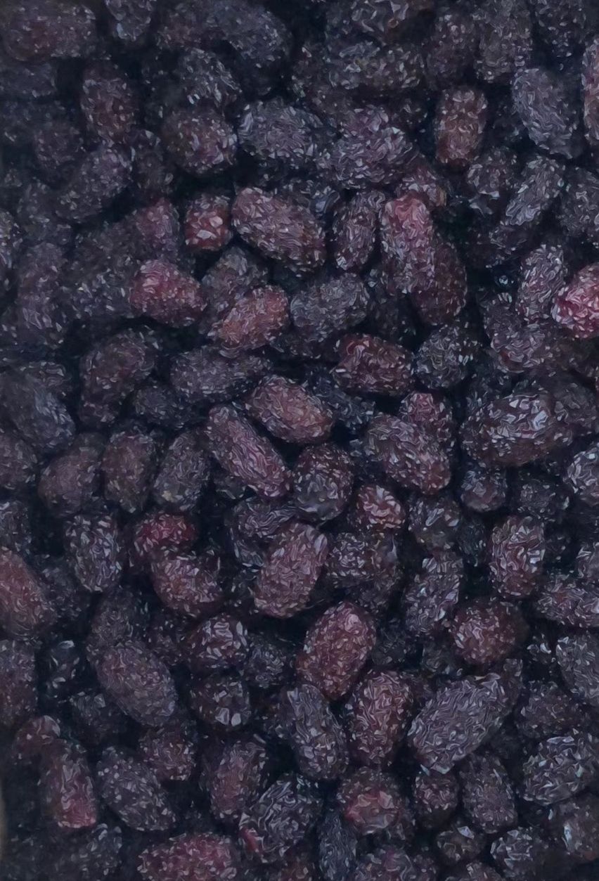  日食月乐（乌枣）