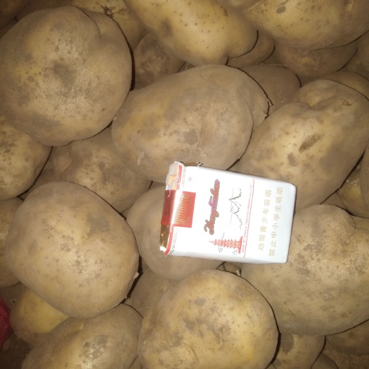 喀喇沁旗冀张226土豆 个头大，颜色好，价格美丽