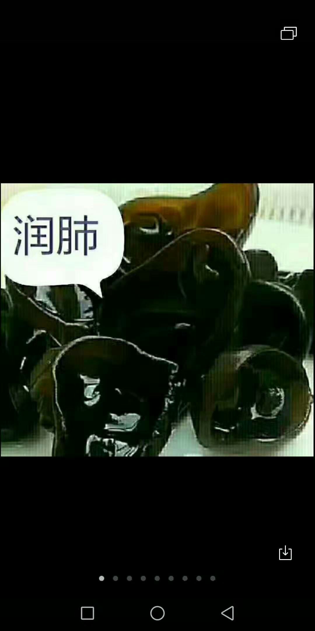  东北黑木耳
