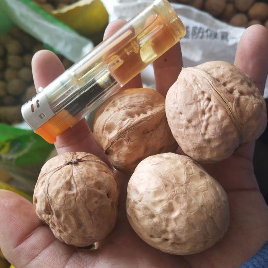 临县薄皮核桃 有机肥料，自家种植。买的放心，吃着健康