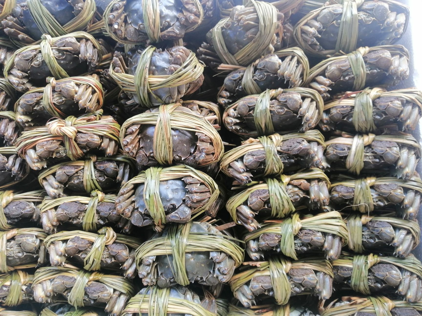 洪湖大闸蟹  山穷水尽疑无蟹，味美鲜肥在洪湖 洪湖清水大闸蟹