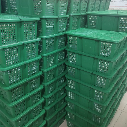 东源县土鹌鹑蛋 食用 箱装