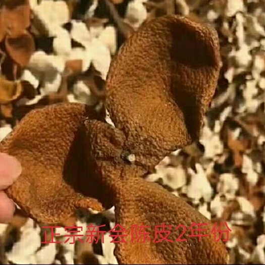 江门新会陈皮  正宗老树陈皮 开胃消食，燥湿
