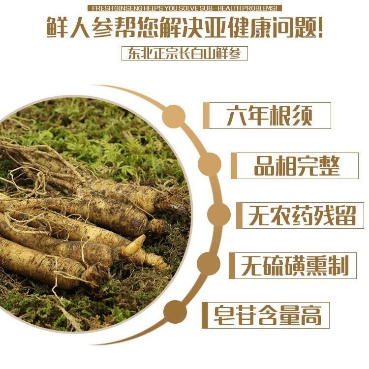 人参长白山鲜人参带土鲜人参