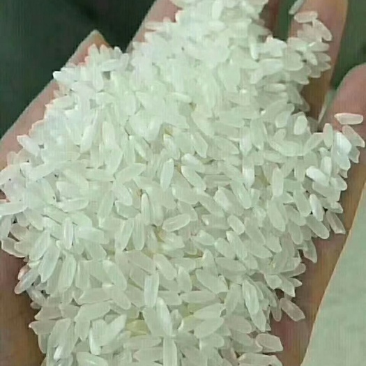 五常市 纯有机稻花香大米