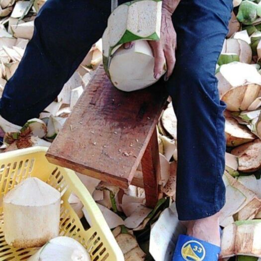 文昌市 海南椰青 包邮去皮椰青9个一箱绿色食品