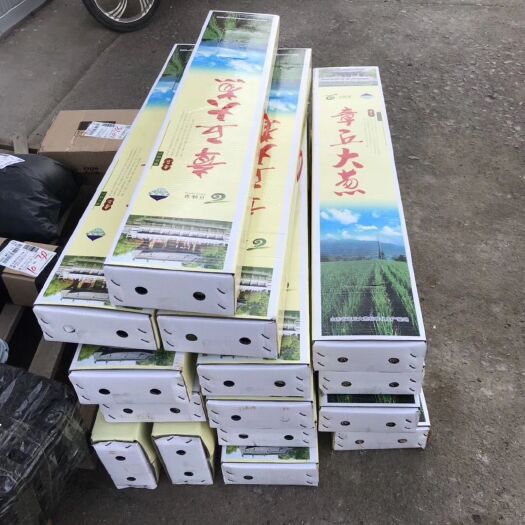 济南一件代发章丘大葱
