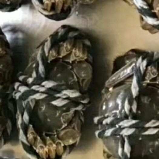 深圳 兴化大闸蟹