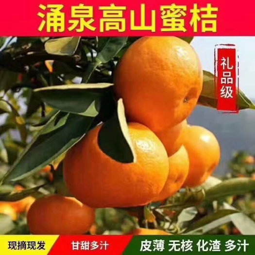 临海市涌泉蜜桔 正宗涌泉蜜橘酸甜可口皮薄多汁10斤装