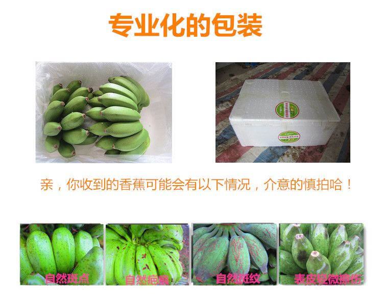 君懿农业新鲜水果酸甜小米蕉皇帝蕉非海南香蕉芭蕉