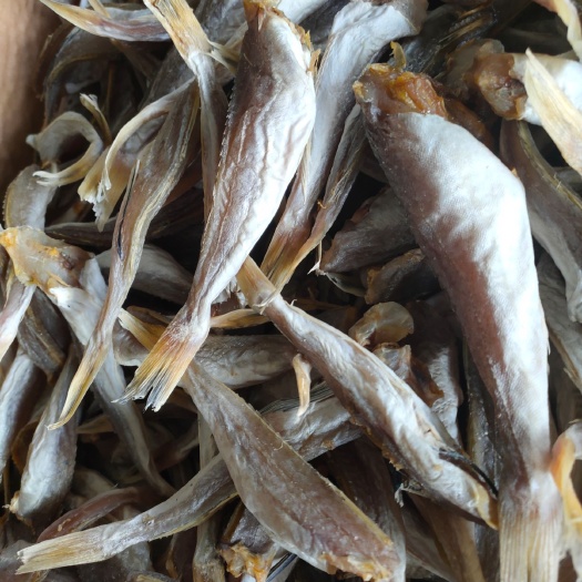 江门红鱼干  红头鱼干