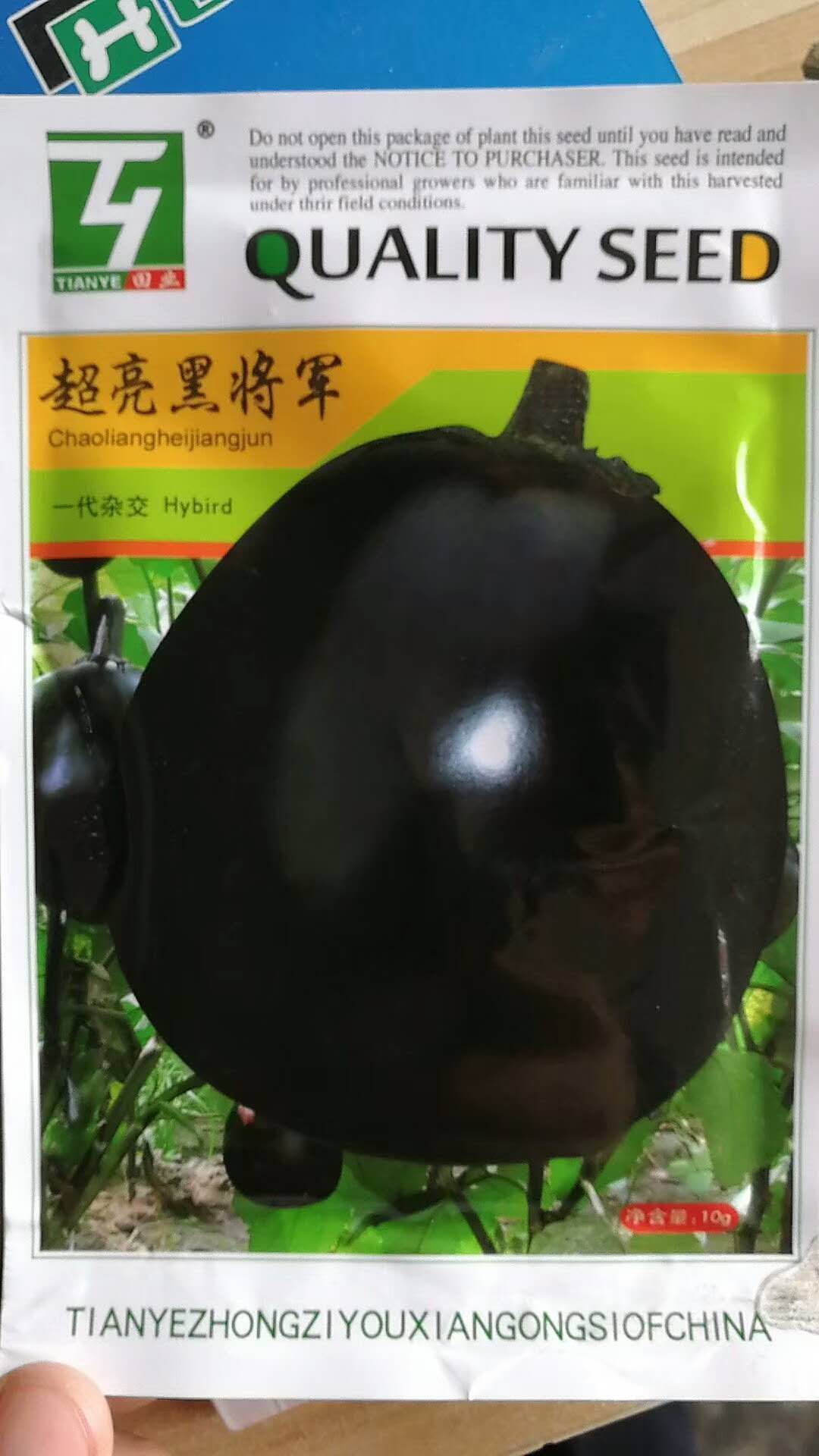 夏邑县黑将军茄子种子果实圆形果皮紫黑发亮口感好商品性优