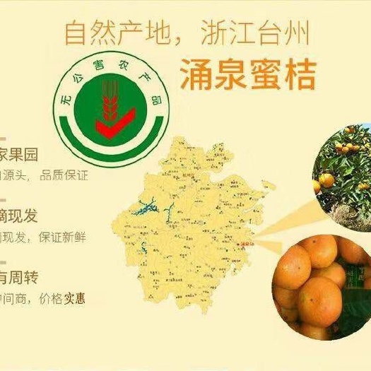 临海市涌泉蜜桔 正宗涌泉蜜橘批发