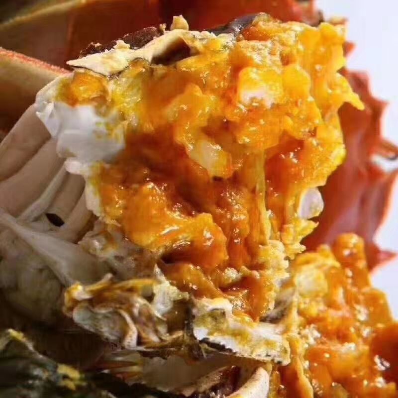 老头蟹 洪泽大闸蟹