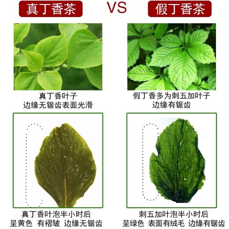 新丁香茶去口臭口干口苦茶三清茶原料真产地发货