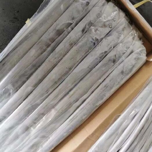 南通 印尼带鱼大量出！价格优品质没话说规格300-500单条