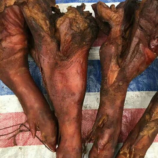 慈利县张家界腊肉 张家界土家腊猪蹄