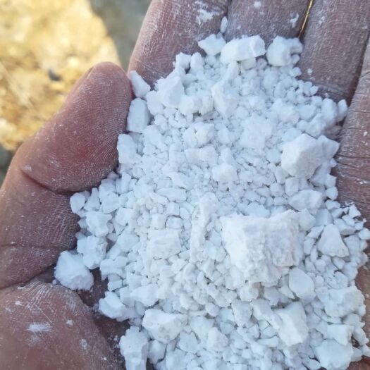 红安县红薯淀粉 新粉开卖了，有需要的联系
