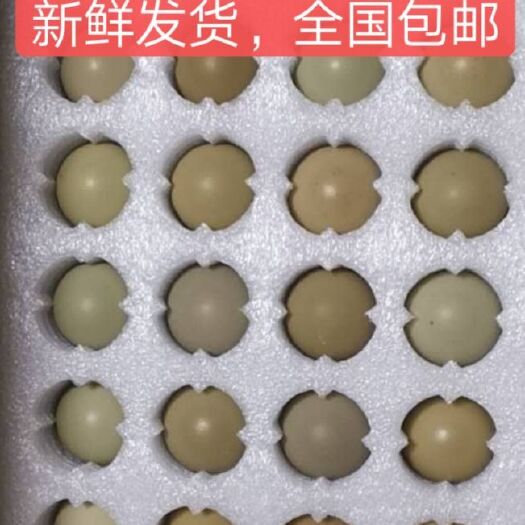 商河县 全国包邮！新鲜鸡蛋30枚.50枚 珍珠棉包装 养殖户直发