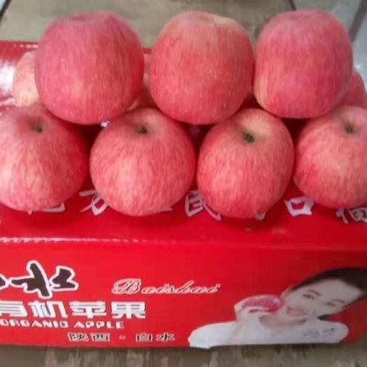 渭南 陕西白水红富士苹果
