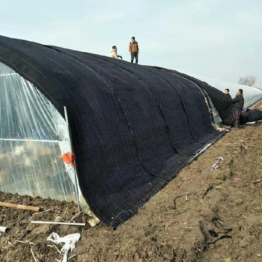 宿迁养殖大棚 温室大棚钢管批发，专业搭建蔬菜养殖花卉大棚