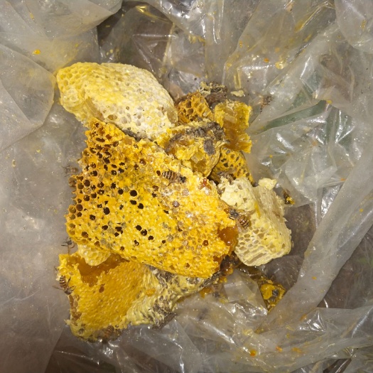 南宁 山里的岩石中的蜂蜜
