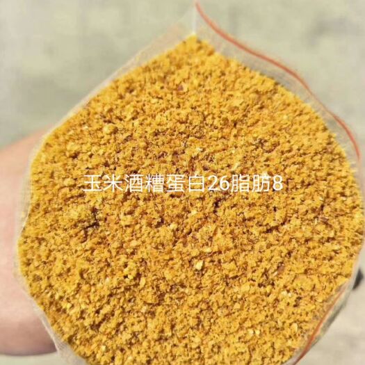 石家庄 玉米酒糟DDGS