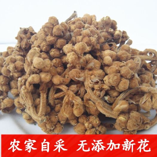 和平县枇杷花茶  新晒枇杷花