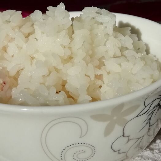 镇赉县粳稻谷  小粒香，珍珠米，自产自销